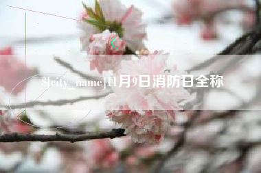 黔东南11月9日消防日全称