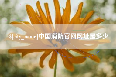 黔东南中国消防官网网址是多少