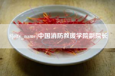 黔东南中国消防救援学院副院长