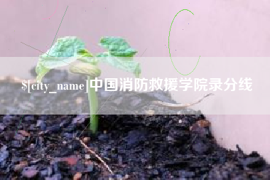 黔东南中国消防救援学院录分线