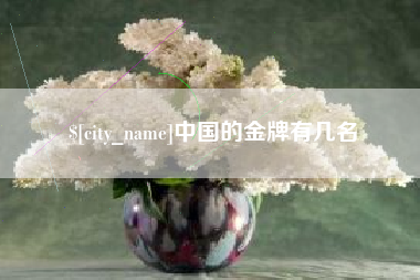 黔东南中国的金牌有几名