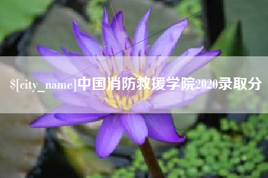 黔东南中国消防救援学院2020录取分