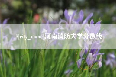 黔东南河南消防大学分数线