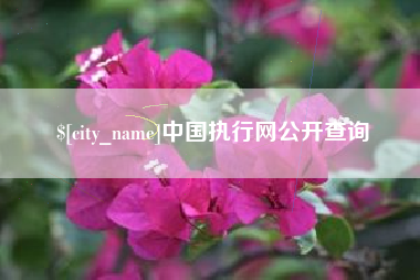 黔东南中国执行网公开查询