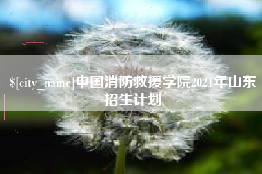 黔东南中国消防救援学院2021年山东招生计划