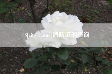 黔东南消防证的查询