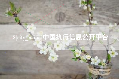 黔东南中国执行信息公开平台