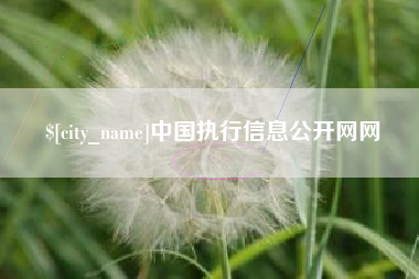 黔东南中国执行信息公开网网