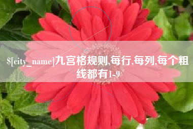 黔东南九宫格规则,每行,每列,每个粗线都有1-9