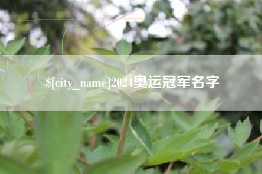 黔东南2024奥运冠军名字