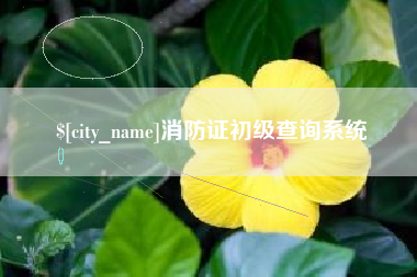 黔东南消防证初级查询系统
