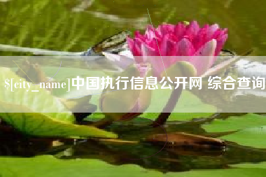 黔东南中国执行信息公开网 综合查询