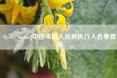 黔东南中国失信人员被执行人名单查询