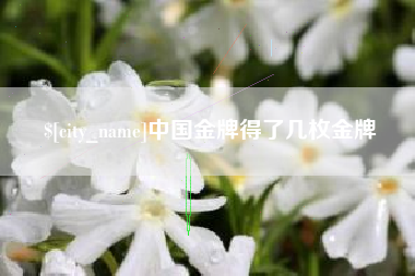 黔东南中国金牌得了几枚金牌