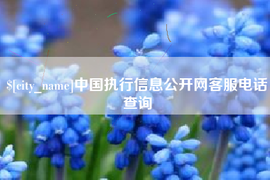 黔东南中国执行信息公开网客服电话查询