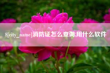 黔东南消防证怎么查询,用什么软件