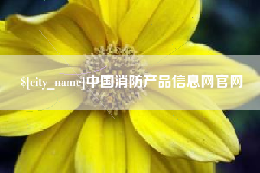 黔东南中国消防产品信息网官网