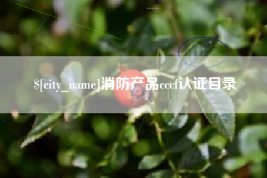 黔东南消防产品cccf认证目录