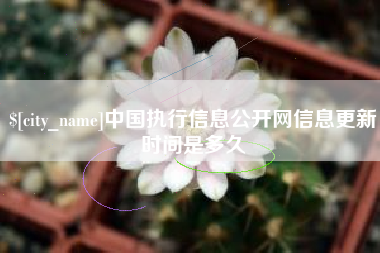 黔东南中国执行信息公开网信息更新时间是多久