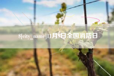 黔东南11月9日全国消防日