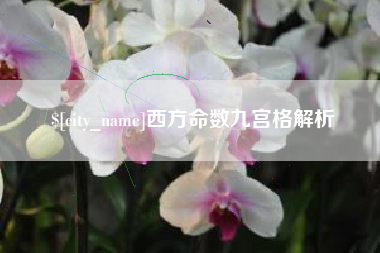 黔东南西方命数九宫格解析