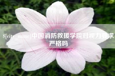 黔东南中国消防救援学院对视力要求严格吗
