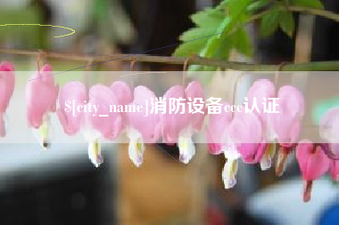 黔东南消防设备ccc认证
