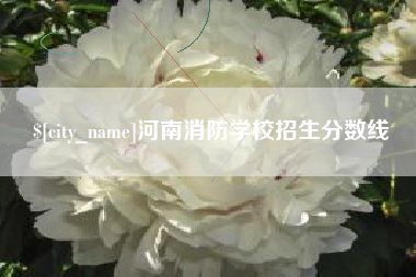 黔东南河南消防学校招生分数线