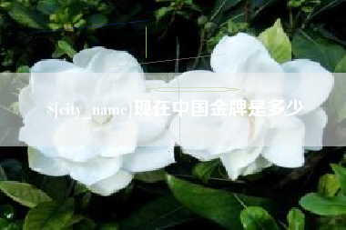 黔东南现在中国金牌是多少