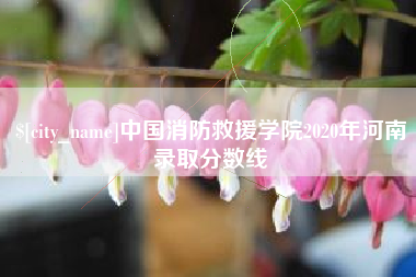 黔东南中国消防救援学院2020年河南录取分数线