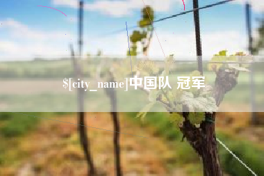 黔东南中国队 冠军