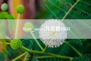 黔东南九宫格42633