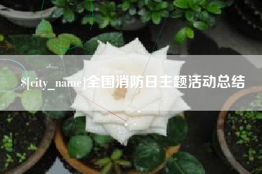 黔东南全国消防日主题活动总结
