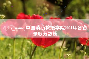 黔东南中国消防救援学院2021年各省录取分数线