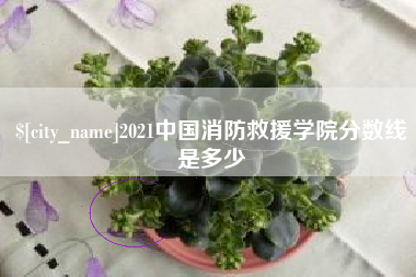 黔东南2021中国消防救援学院分数线是多少