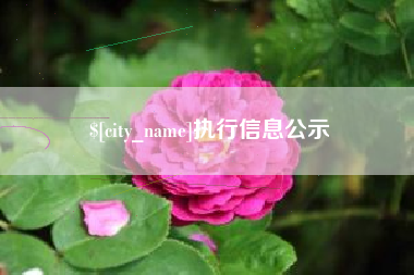 黔东南执行信息公示