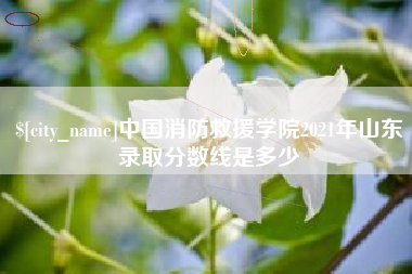 黔东南中国消防救援学院2021年山东录取分数线是多少