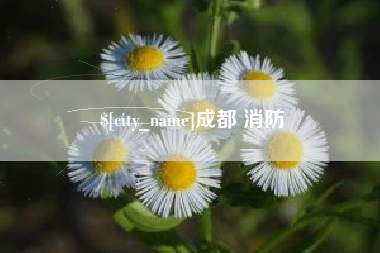 黔东南成都 消防