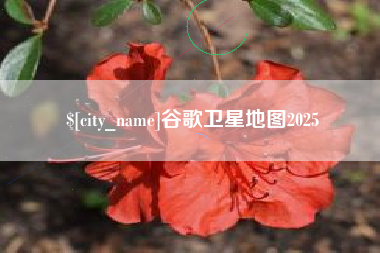 黔东南谷歌卫星地图2025