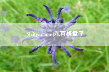 黔东南九宫格盘子