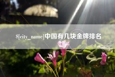 黔东南中国有几块金牌排名