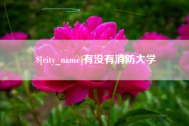 黔东南有没有消防大学