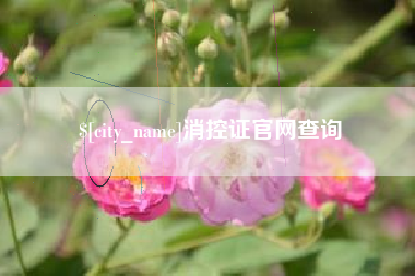 黔东南消控证官网查询