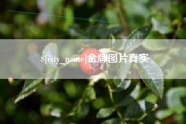 黔东南金牌图片真实