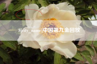 黔东南中国第九金回放