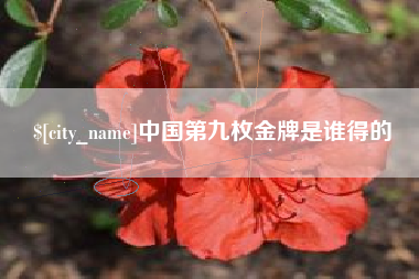 黔东南中国第九枚金牌是谁得的