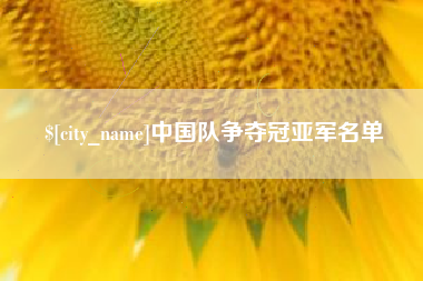 黔东南中国队争夺冠亚军名单