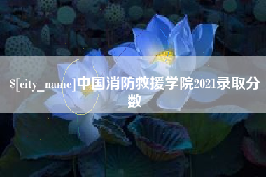 黔东南中国消防救援学院2021录取分数