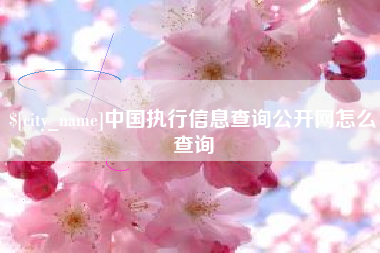 黔东南中国执行信息查询公开网怎么查询