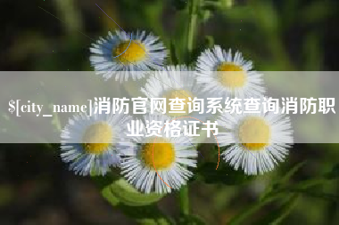 黔东南消防官网查询系统查询消防职业资格证书